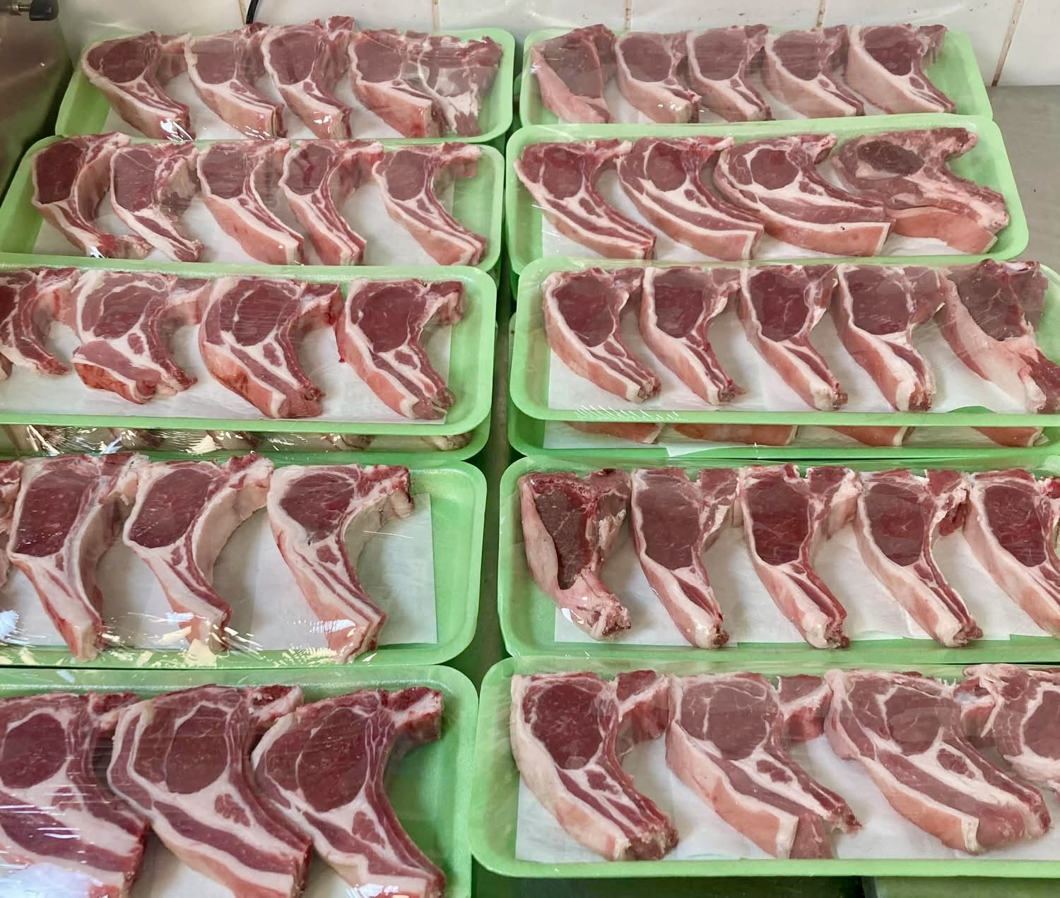Fresh lamb chops at Pantri Dysynni farm shop in Tywyn